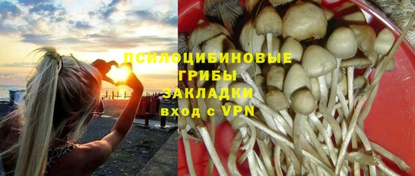 прущая мука Алексин