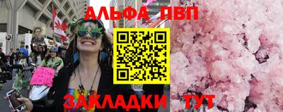 ECSTASY Гай