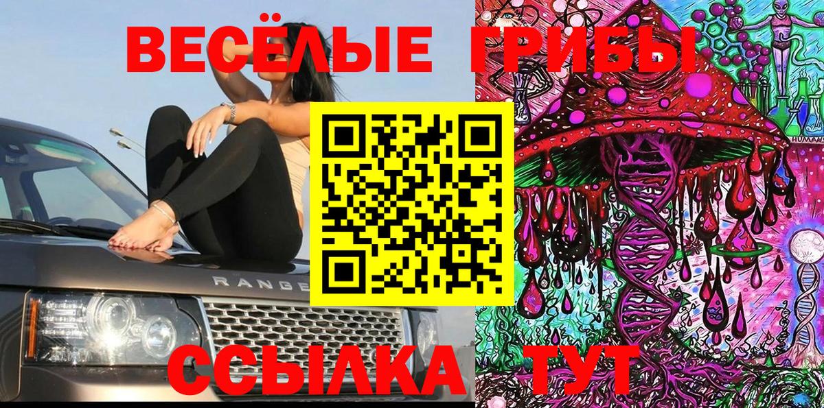 Галлюциногенные грибы MAGIC MUSHROOMS Кулебаки